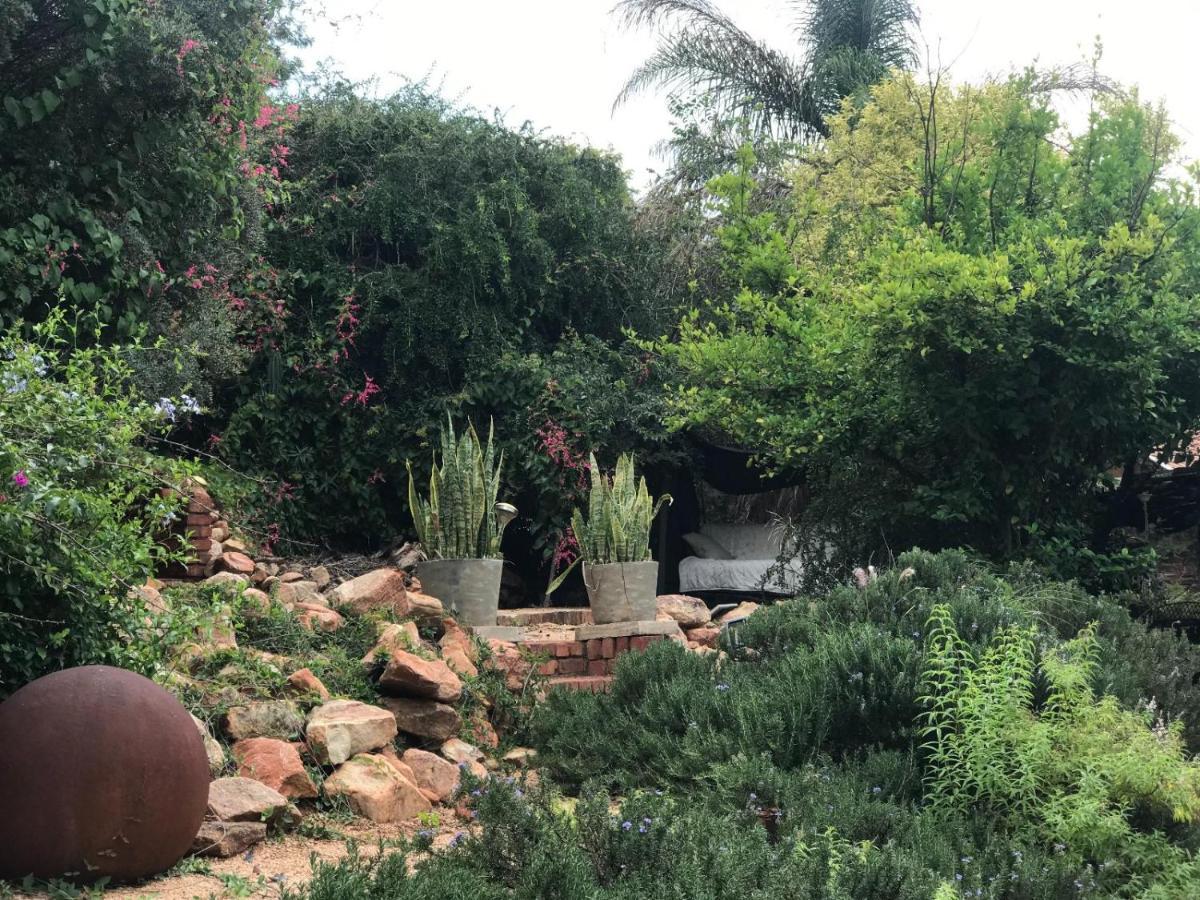 Aloe Guesthouse Klerksdorp Exterior foto